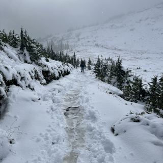 The winter wonders of the majestic Mt. Rainier!