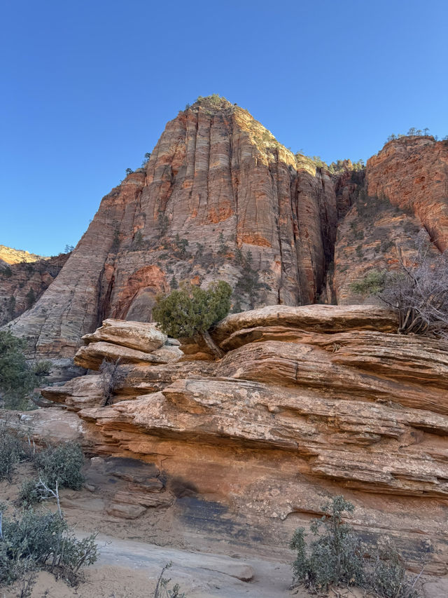 Zion Road Trip: 5 Unforgettable Moments