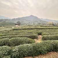 Hangzhou 5 Days Itinerary