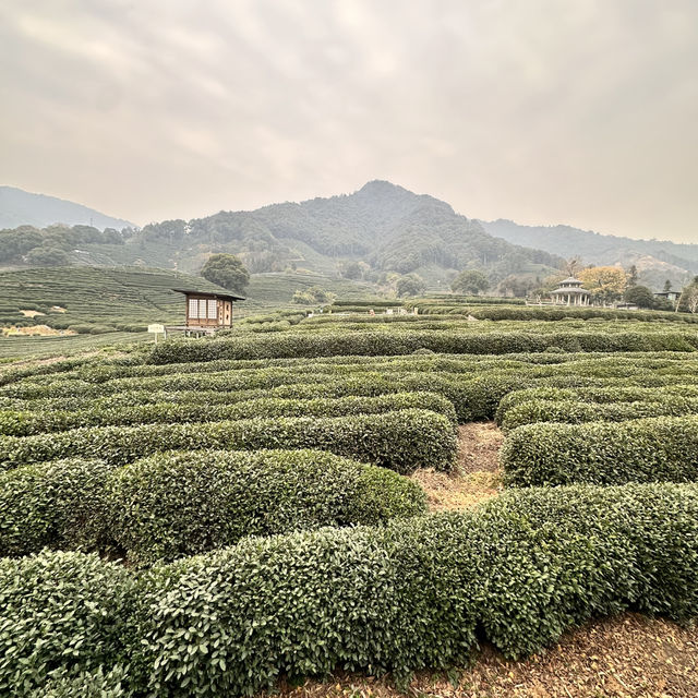 Hangzhou 5 Days Itinerary