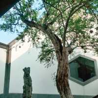 蘇州慢遊指南｜西園寺·拙政園·蘇州博物館 