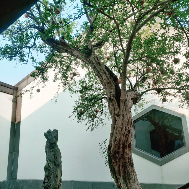 蘇州慢遊指南｜西園寺·拙政園·蘇州博物館 