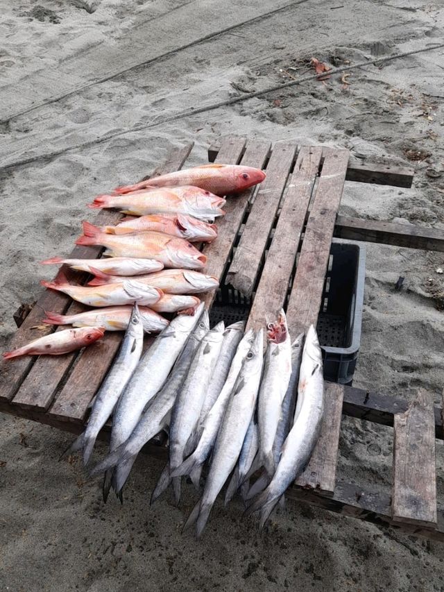 Santa Marta - Colombia