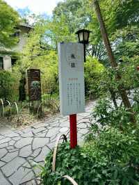 🏮【伊豆修善寺】隱世古町的日式療癒之旅🌿｜溫泉、竹林小徑、禪意滿滿✨