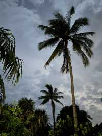 Вьетнам в сердечке💔 Муйне- самое душевное место.