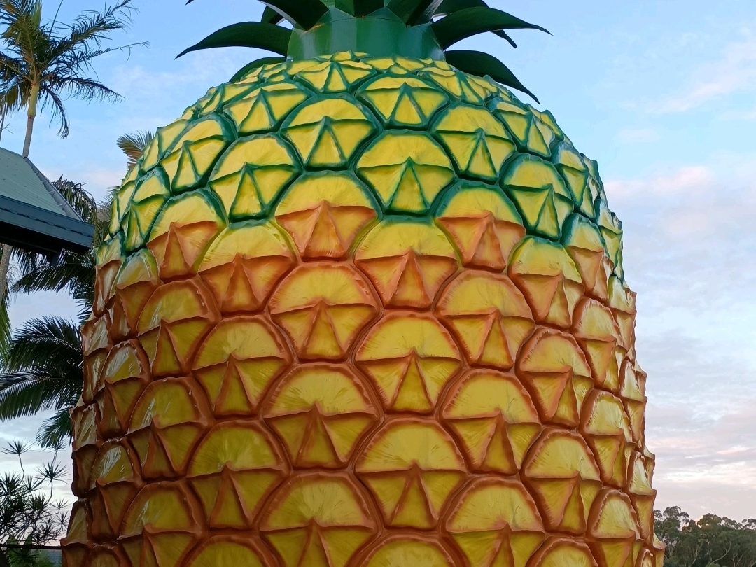The Big Pineapple at Woombye. Visit the Sunshine state. 