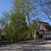Tierpark… Local Zoo Greifswald Germany