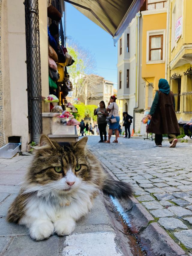 COLOURFUL NEIGHBOURHOOD NAMED BALAT