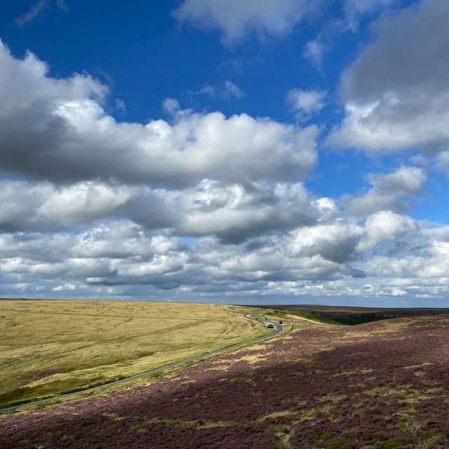 Nature's Citadel: A Tranquil Day at Owler Tor