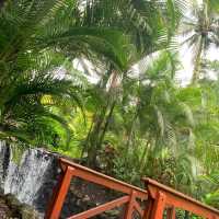 Arenal volcano hot springs 🌋🌋