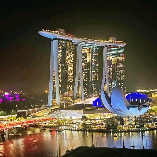👑經典五星級酒店👑新加坡景色一覽無遺🌃