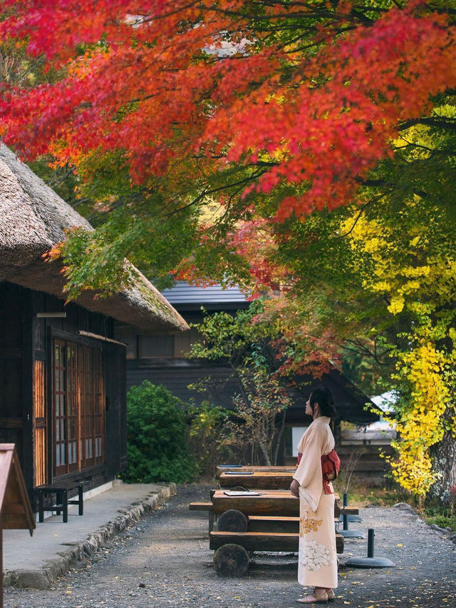 사이코 이야시노사토 넨바 (일본 전통 마을)