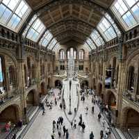 Natural History Museum 🇬🇧