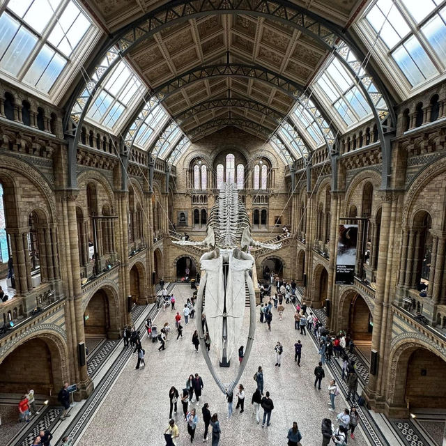 Natural History Museum 🇬🇧