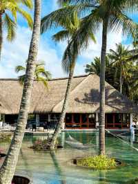 콘스탄스 벨 마레 비치 모리셔스 Constance Belle Mare Plage Mauritius 🏡🏝️