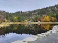 Norway Fjords & Travel tips💡 🇳🇴