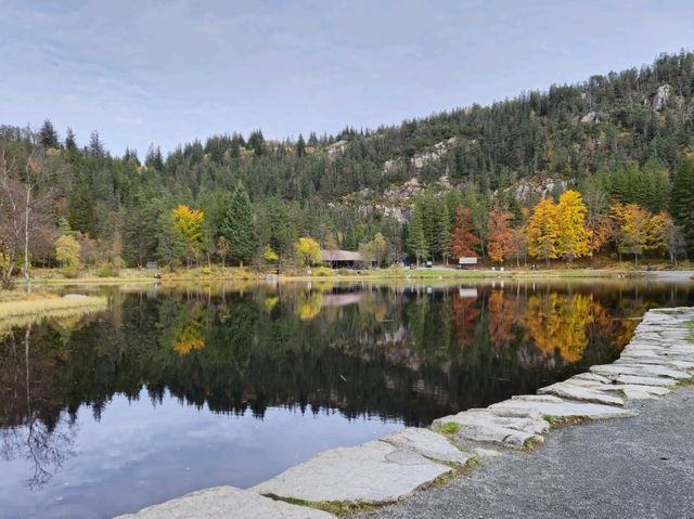 Norway Fjords & Travel tips💡 🇳🇴