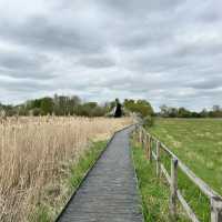 The perfect Fen