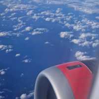 amazingly cheap flights
