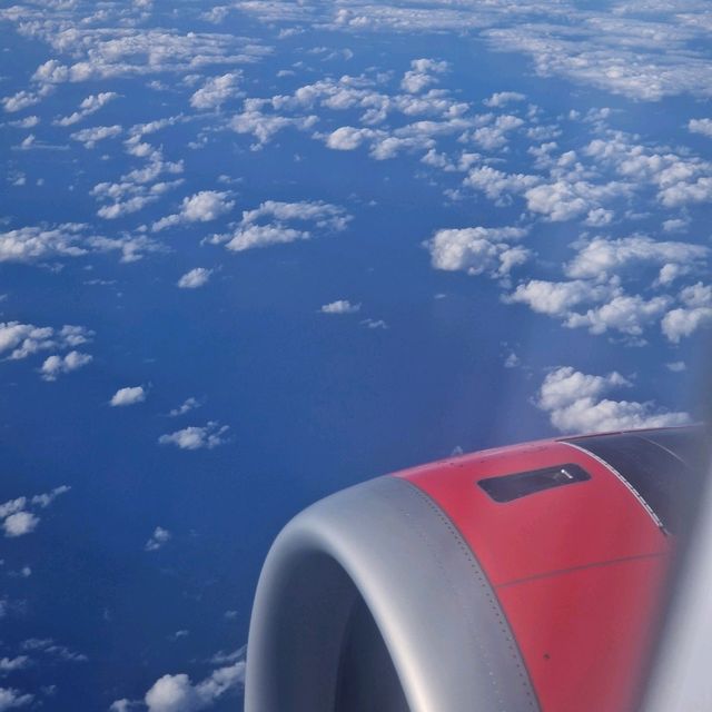 amazingly cheap flights