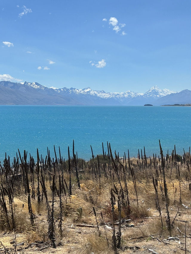 🌊🏔️ Lake Tekapo & Mount John: A Hike to the Stars