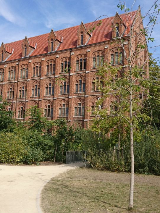 🏛️ Leuven: History, Culture, and Tranquil Escapes