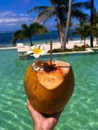 Perfect Mauritius Itinerary 