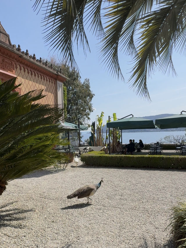 Stresa — the Paradise An hour away from Milan 