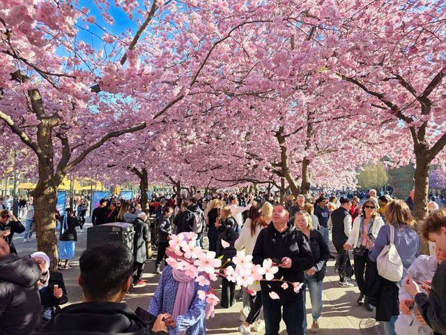 who would have thought? who would have thought?