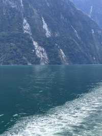 【ミルフォード・サウンド フライ＆クルーズ】セスナで空から、クルーズで海から、フィヨルドの絶景を満喫