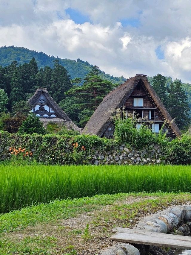 Shirakawa-go: A Timeless Village in the Japanese Alps