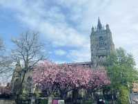 From Steel to Fields: A Train Journey from Birmingham to Norwich