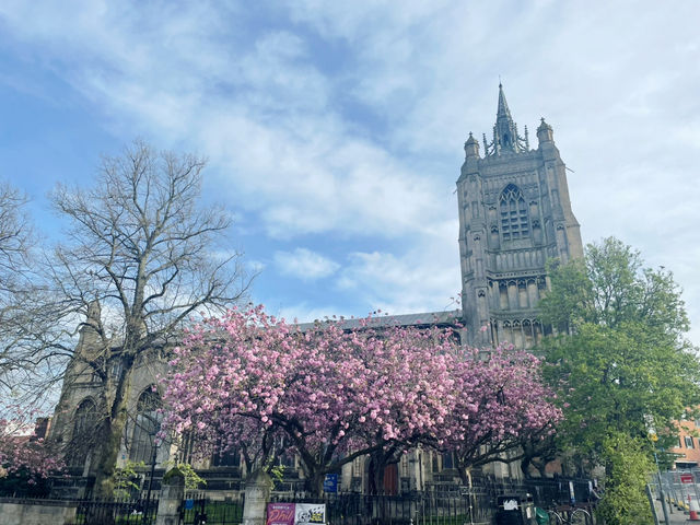 From Steel to Fields: A Train Journey from Birmingham to Norwich
