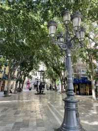 Streets of Barcelona 🍂