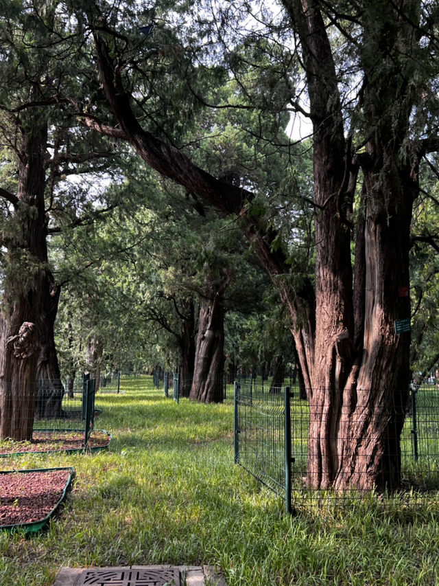 Temple of Earth Park