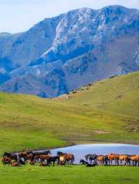 Zhetysu (Jetysu) Region: Kazakhstan’s Enchanting Land of Seven Rivers