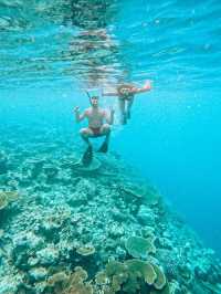 Snorkeling in the Maldives: What to Expect and How Much It Costs