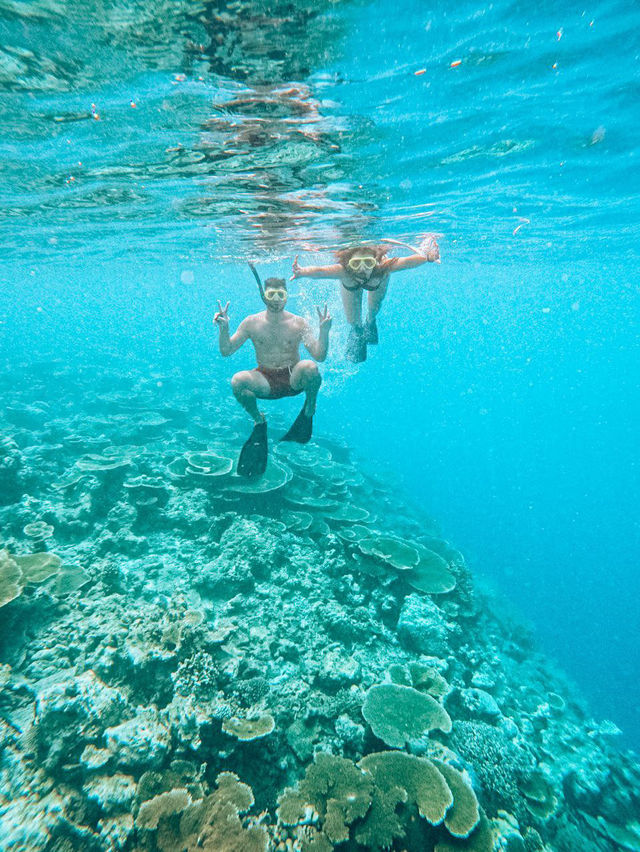 Snorkeling in the Maldives: What to Expect and How Much It Costs
