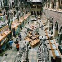 Oxford: Where History Meets Hogwarts Vibes