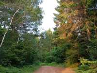 Dewstow Estate Caldicot, Highmoor Hill and Slade Wood 