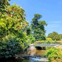 The best way to soak up the rare Irish sun 😎🇮🇪