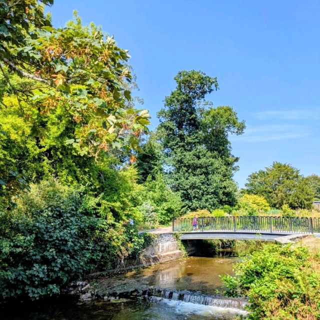 The best way to soak up the rare Irish sun 😎🇮🇪 The best way to soak up the rare Irish sun 😎🇮🇪
