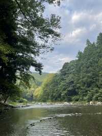 Experience authentic Japanese summer in Tokyo