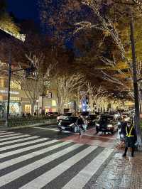 Exploring Tokyo’s busiest, most iconic districts means you’re in for a total sensory overload! 