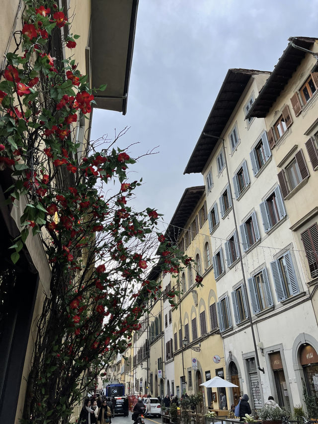 🎨 Florence: Art, History & Charming Streets