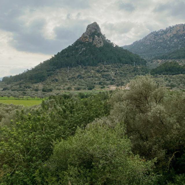Tren de Soller, Мальорка