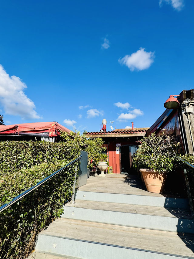 🍷🥩 Wonderful Local Lunch at La Vinya Grill — A True Hidden Gem in Barcelona