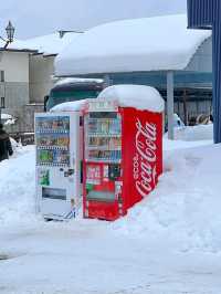 Ice Views Await❄️