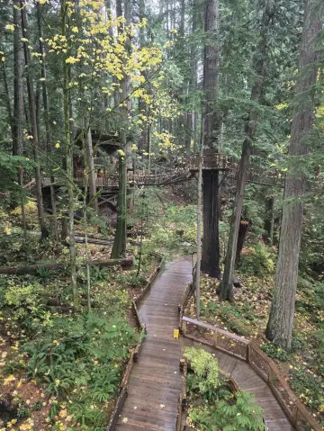 🍁 Capilano Suspension Bridge – Autumn Magic in the Treetops 🌲