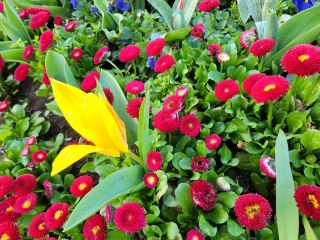 เรสต์พาร์ค - มรดกอังกฤษ